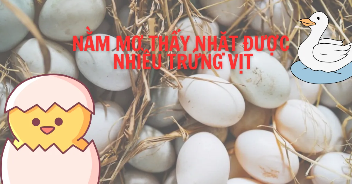 Nằm mơ thấy nhặt được nhiều trứng vịt